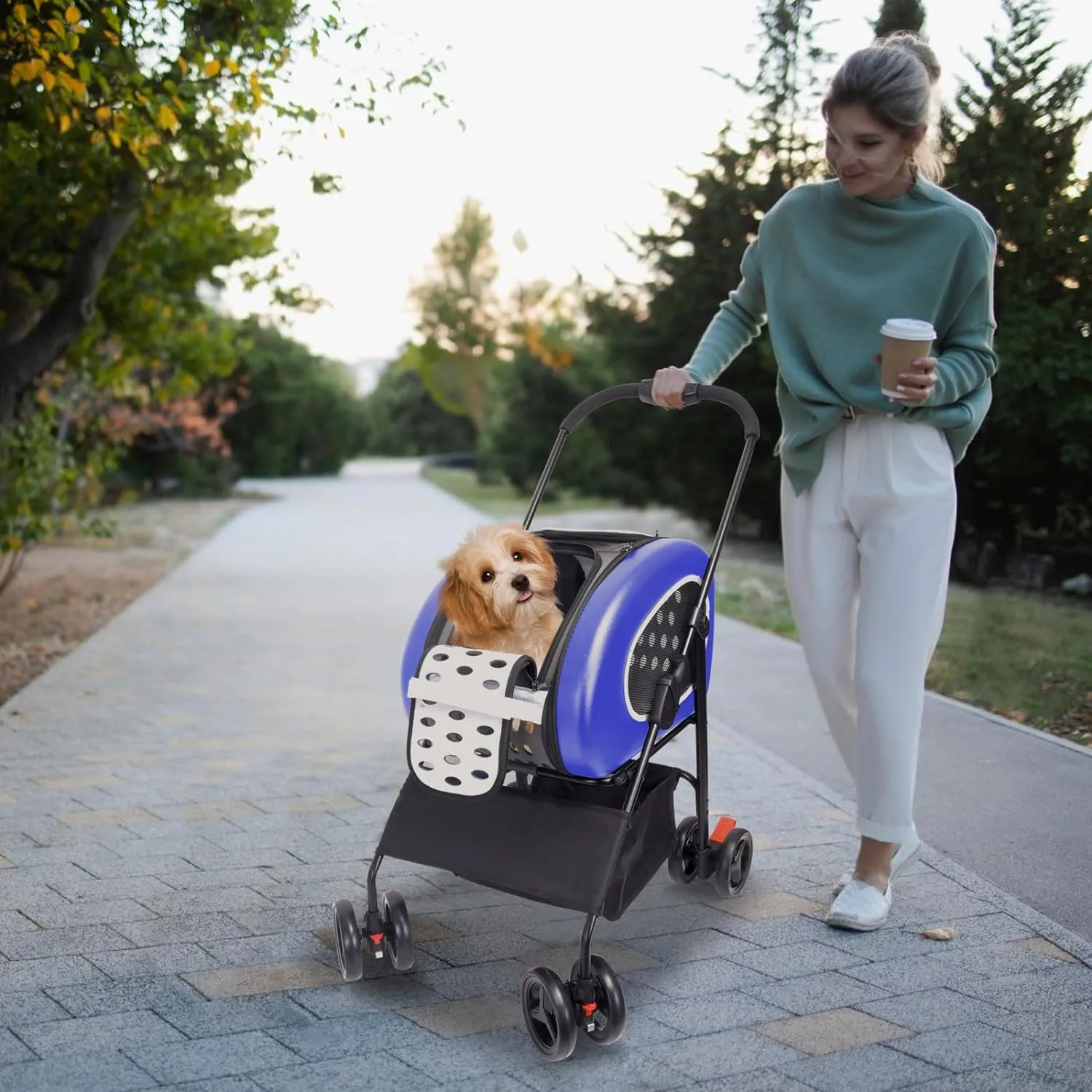 Ibiyaya 5-in-1 Combo EVA Pet Carrier/Stroller | Luxury Package