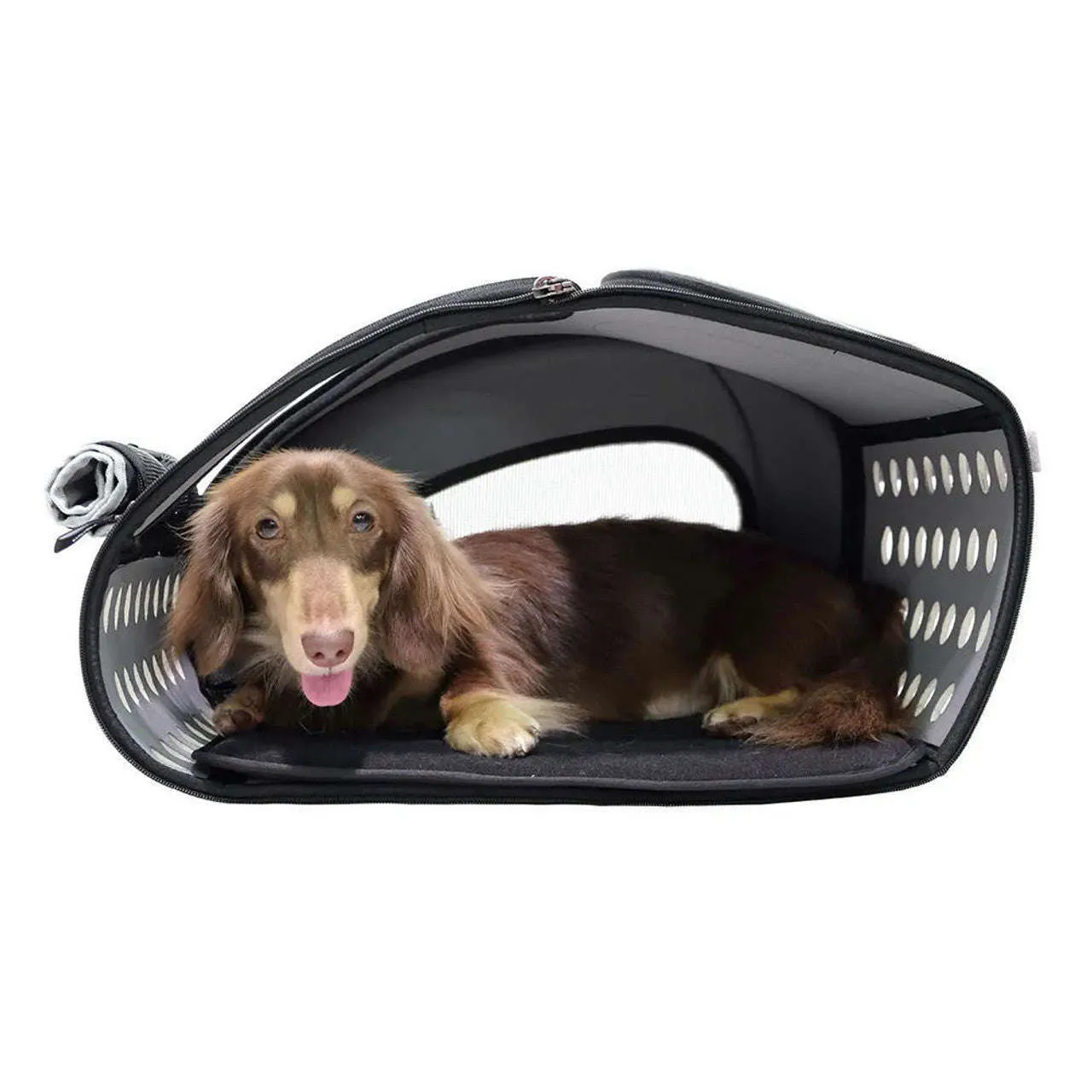 Ibiyaya 5-in-1 Combo EVA Pet Carrier/Stroller | Luxury Package