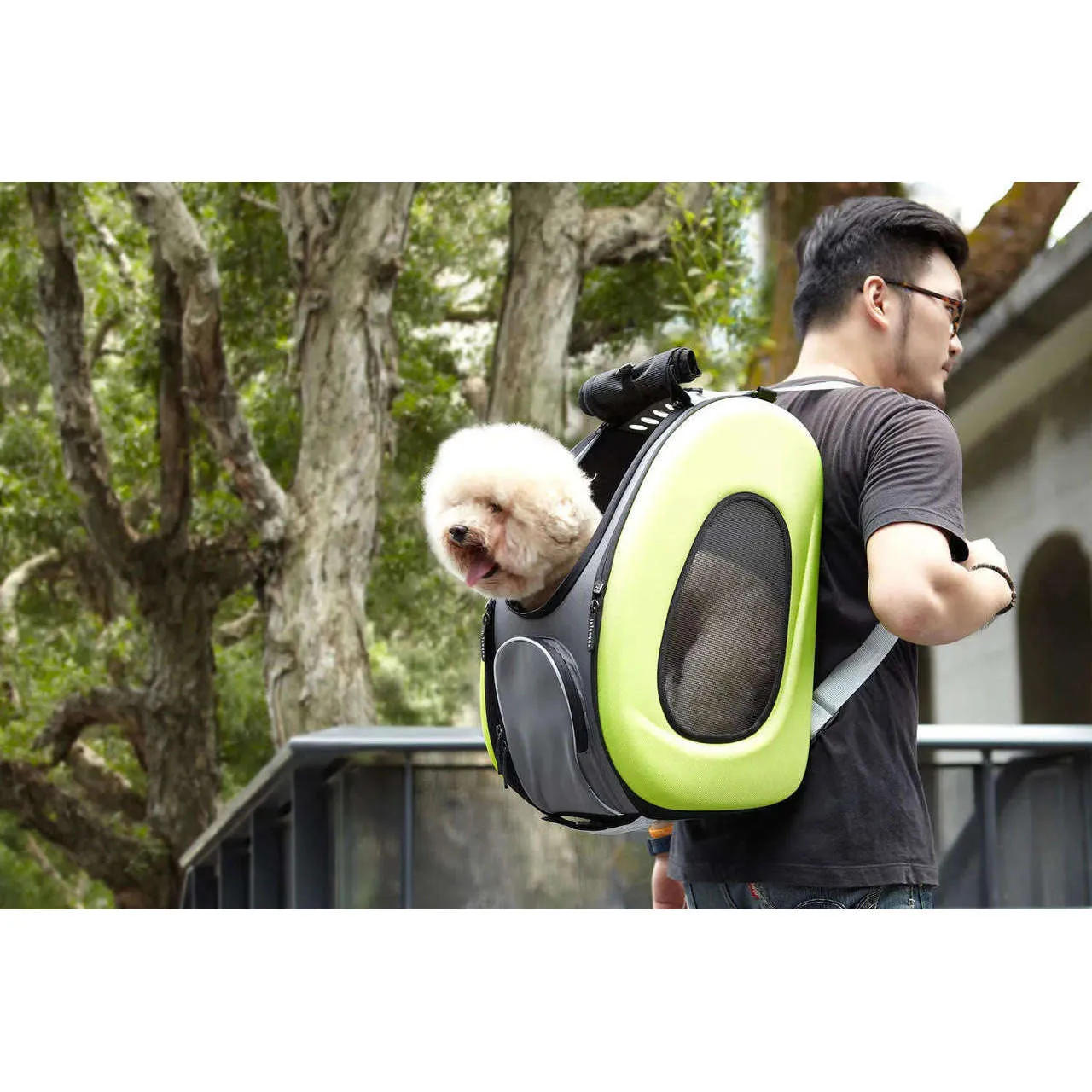 Ibiyaya 5-in-1 Combo EVA Pet Carrier/Stroller | Luxury Package