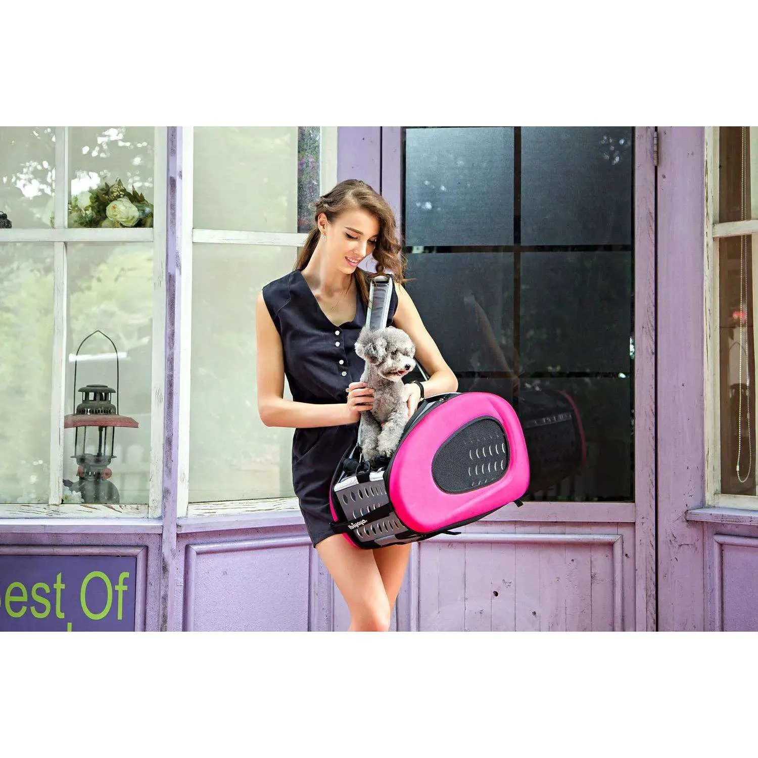 Ibiyaya 5-in-1 Combo EVA Pet Carrier/Stroller | Luxury Package