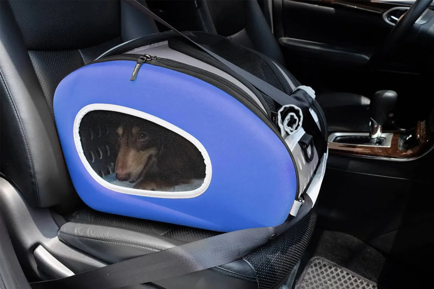 Ibiyaya 5-in-1 Combo EVA Pet Carrier/Stroller | Luxury Package