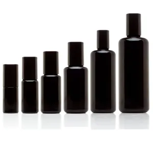 Steel Roller 6 Bottle Variety Pack